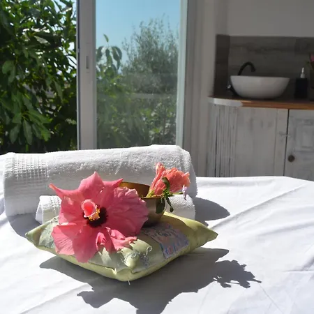 Ecovilla Bed and Breakfast *